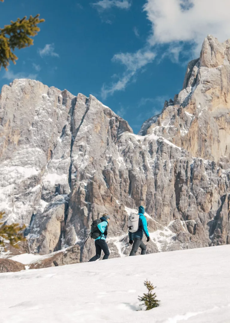 Roberto De Pellegrin Hiking Family provini 110